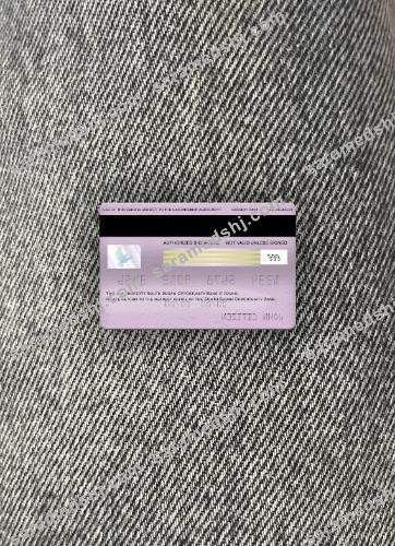 South Sudan Opportunity Bank visa classic card photolook back